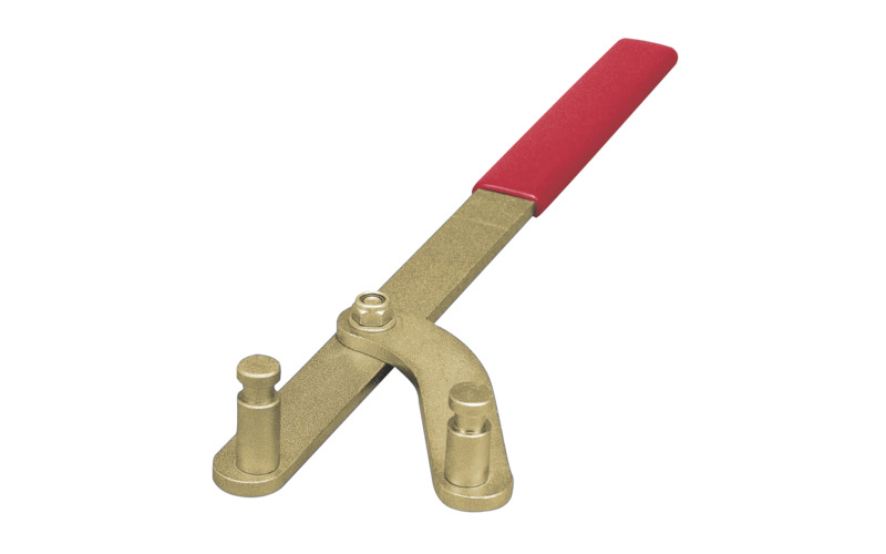 Zusatzbild 1 Zahnriemen-Einstellwerkzeug Ford, Mazda, Volvo 1,25-2.3 16v Zusatzbild 1 Zahnriemen-Einstellwerkzeug Ford, Mazda, Volvo 1,25-2.3 16v